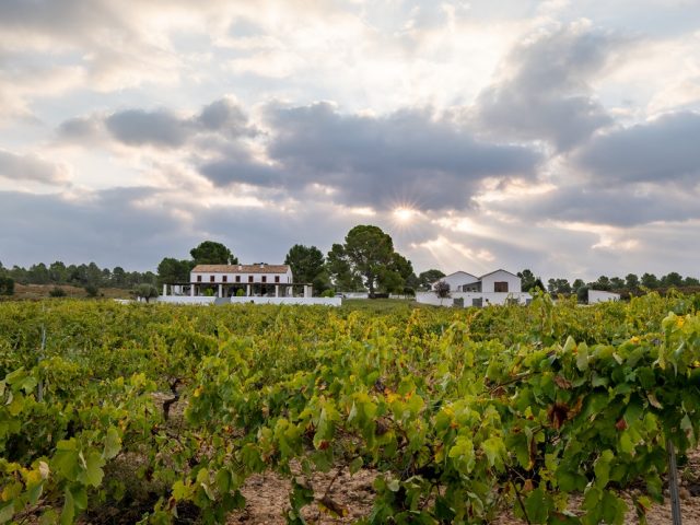 Finca Cor Ví, enoturismo para empresas winelovers