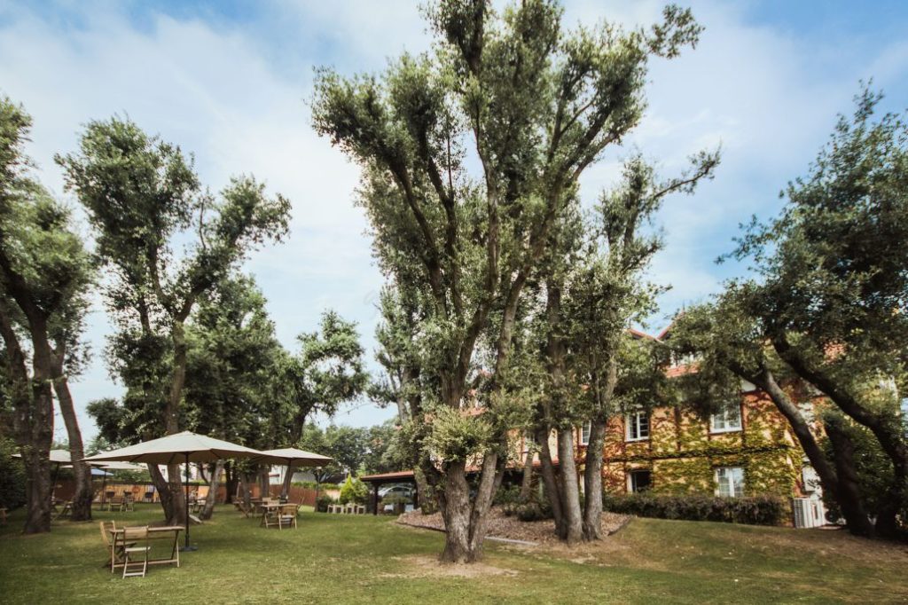 Terraza Jardín 