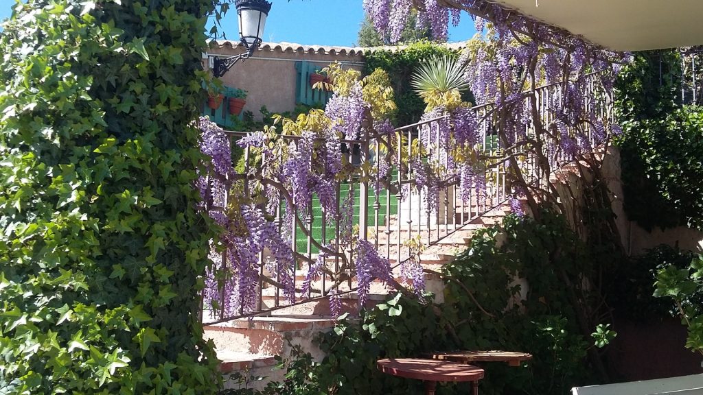 Escaleras Jardín