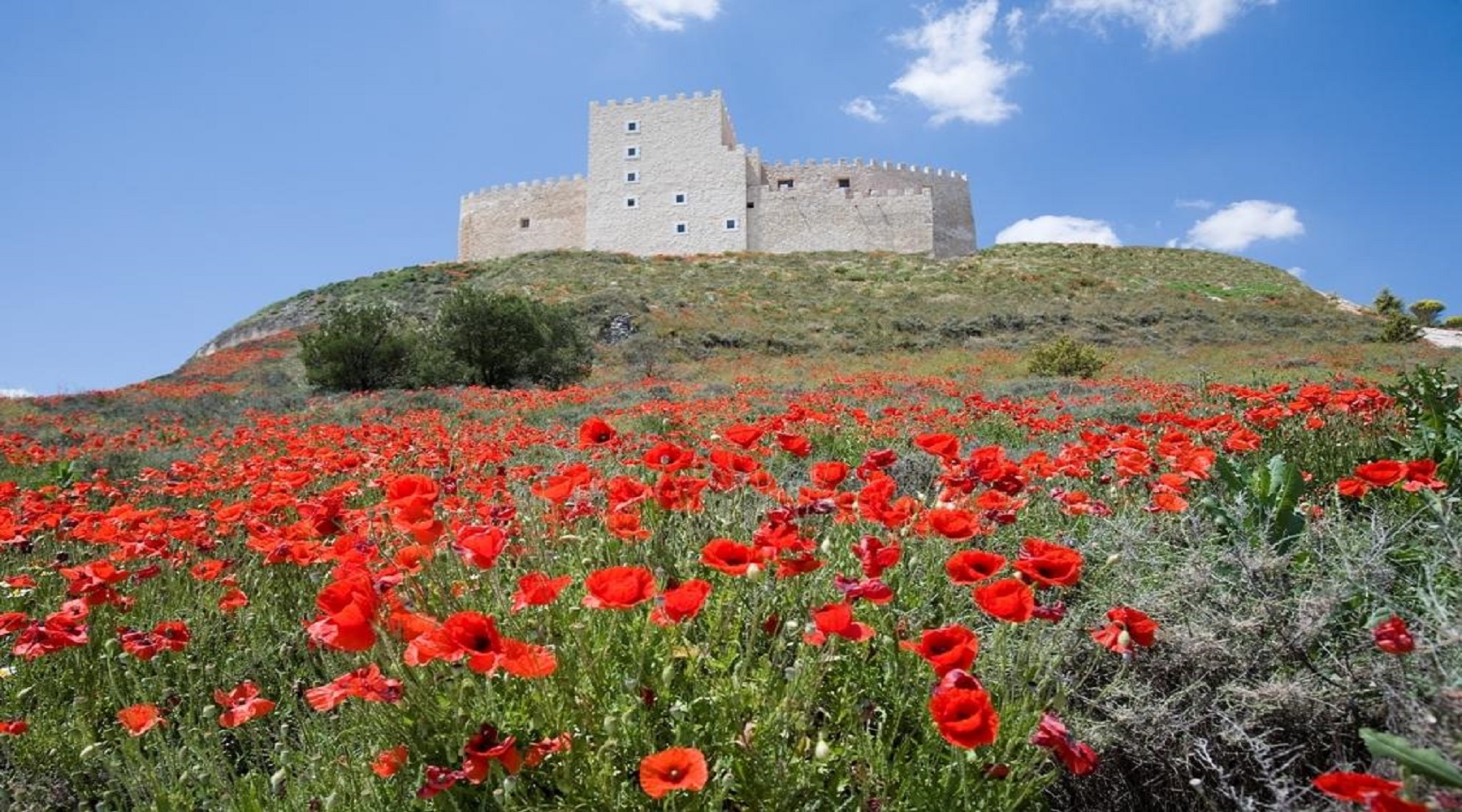 Castillo Curiel prado